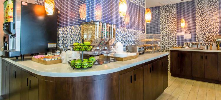 米德兰美茵斯坦套房酒店(MainStay Suites Midland)图片