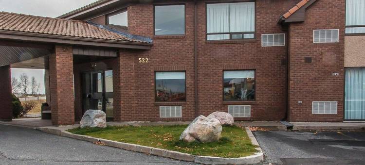 柴登舒适酒店(Comfort Inn)图片