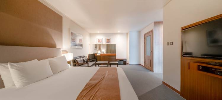 金轩进观光酒店(Hyunjin Tourist Hotel)图片