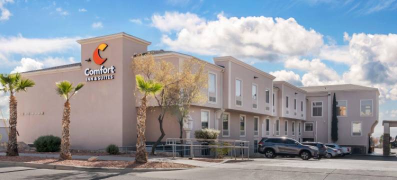 舒适套房酒店机场I-10(Comfort Inn & Suites I-10 Airport)图片