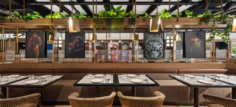 Radisson RED 奥克兰(Radisson Red Auckland)图片