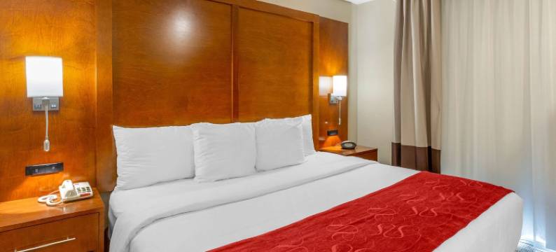 橡树溪阳台近橡树溪中心舒适全套房酒店(Comfort Suites Oakbrook Terrace Near Oakbrook Center)图片