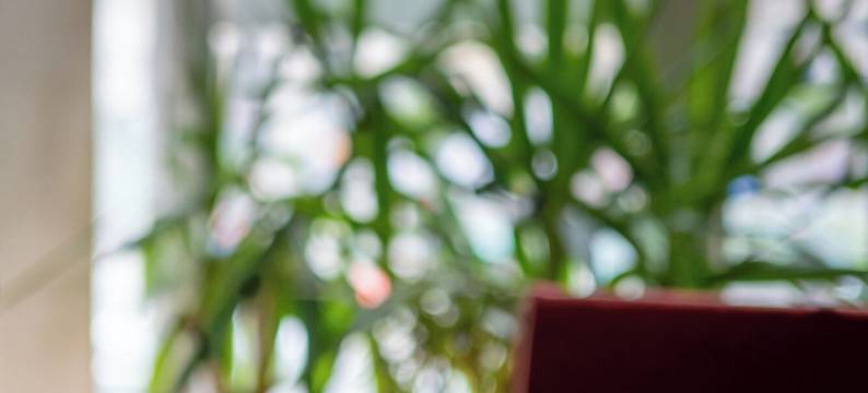 Hotel Londres et New York图片