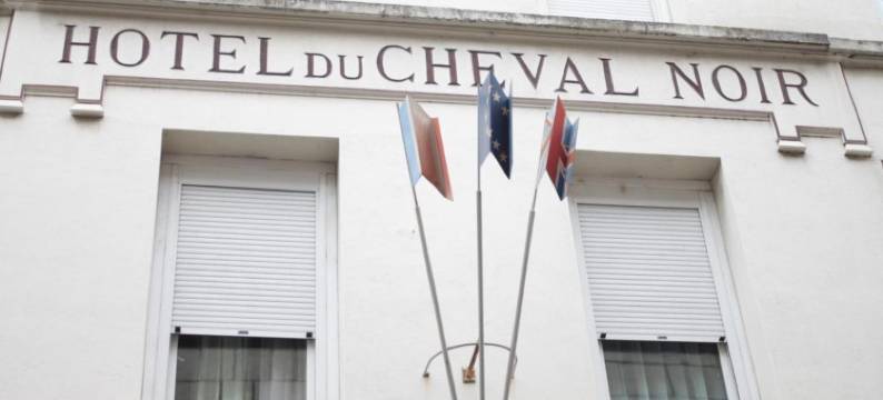 黑马城市风格酒店(Urban Style, Hôtel le Cheval Noir, Saint-Étienne)图片