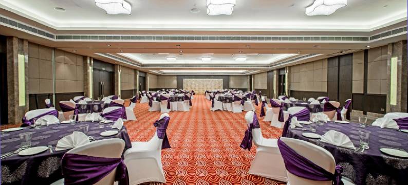 Holiday Inn 阿姆利则兰吉特大道(Holiday Inn AMRITSAR RANJIT AVENUE by IHG)图片