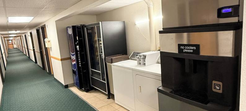 德威特速8酒店(Budget Inn & Suites)图片