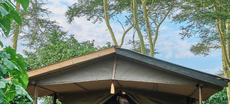 米古恩贾帐篷营地(Migunga Tented Camp)图片
