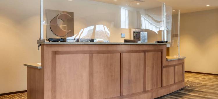 匹兹堡北岸舒适套房酒店(Comfort Inn & Suites Pittsburgh-Northshore)图片