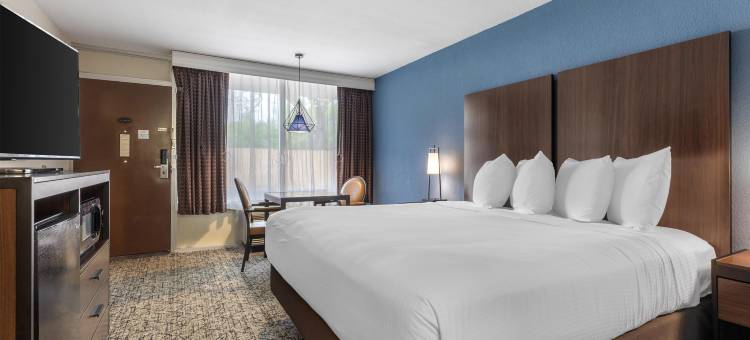 胜者圈贝斯特韦斯特酒店(Best Western Winners Circle)图片