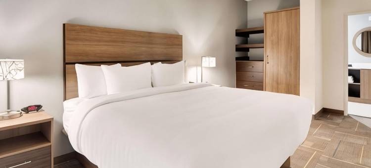 达拉斯西北MainStay套房(MainStay Suites Dallas Northwest - Irving)图片