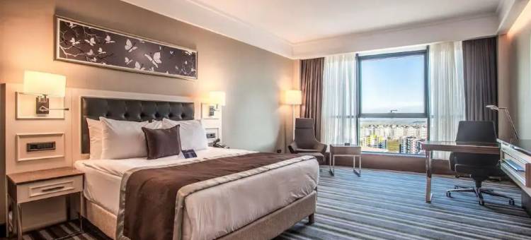 迪亚巴克尔丽笙蓝标酒店(Radisson Blu Hotel Diyarbakir, Turkey)图片