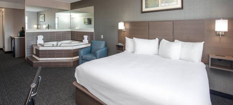 莱斯布里奇海岸酒店及会议中心(Coast Lethbridge Hotel & Conference Centre)图片
