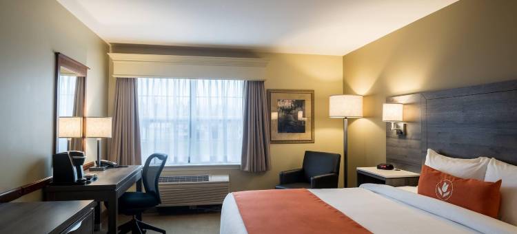 阿姆斯特丹蒙克顿套房酒店(Amsterdam Inn & Suites Moncton)图片