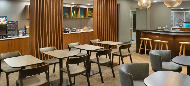 亚特兰大六旗游乐园万豪SpringHill酒店(SpringHill Suites Atlanta Six Flags)图片