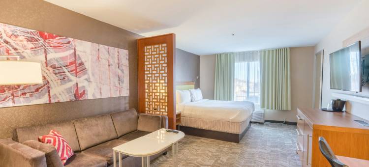 登顿SpringHill Suites 酒店(SpringHill Suites Denton)图片