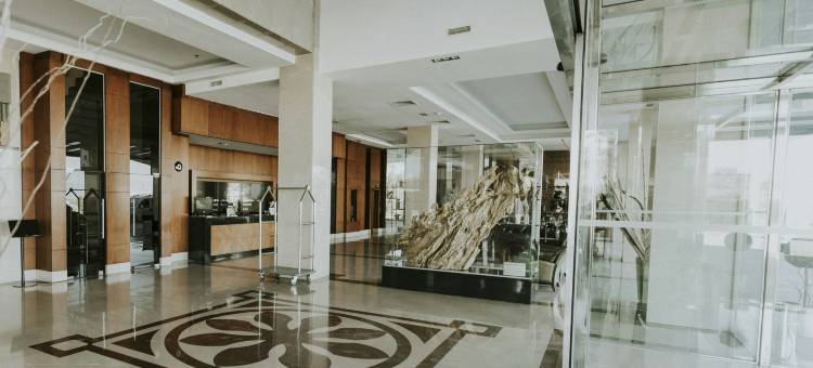 代尼兹利阿奈蒙酒店(Anemon Grand Denizli Otel)图片