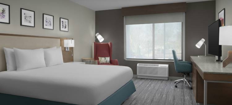 亚特兰大北约翰溪希尔顿花园酒店(Hilton Garden Inn Atlanta North/Johns Creek)图片