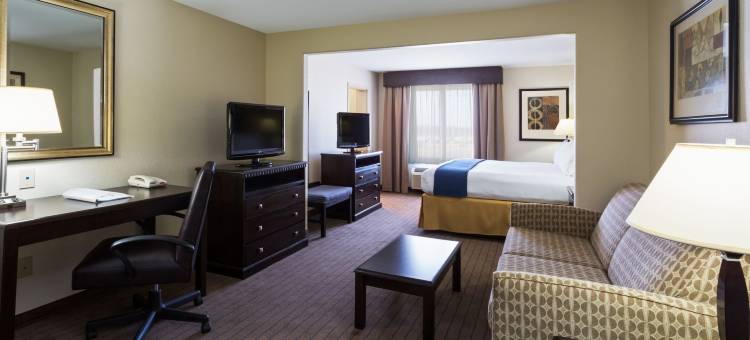 智选假日套房酒店莫尔特里(Holiday Inn Express & Suites MOULTRIE by IHG)图片