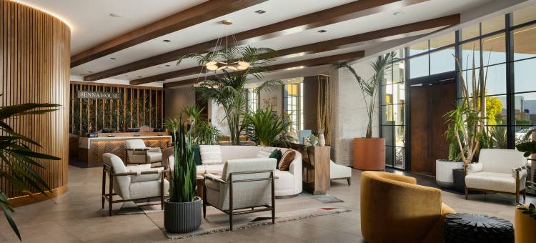 希尔顿格芮精选酒店斯科特斯德塞纳之家(Senna House Hotel Scottsdale, Curio Collection by Hilton)图片