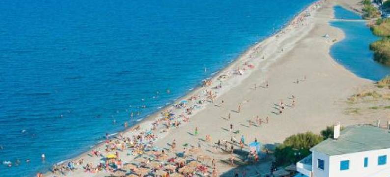 Ankypy Studios图片