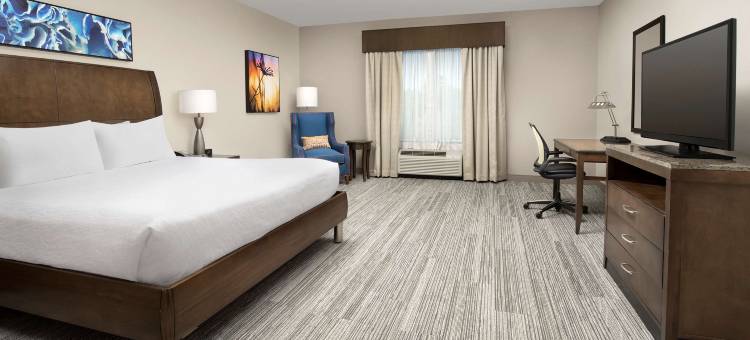 夏洛特机场希尔顿花园酒店(Hilton Garden Inn Charlotte Airport)图片