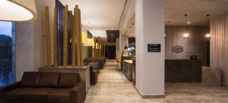 巴拿马大卫欢朋酒店(Hampton by Hilton David)图片