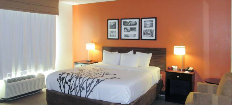 劳德代尔堡国际机场舒眠套房酒店(Sleep Inn & Suites Ft Lauderdale International Airport)图片