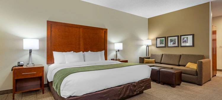 勒努瓦高速公路321号北山麓舒适套房酒店(Comfort Inn & Suites Lenoir Hwy 321 Northern Foothills)图片