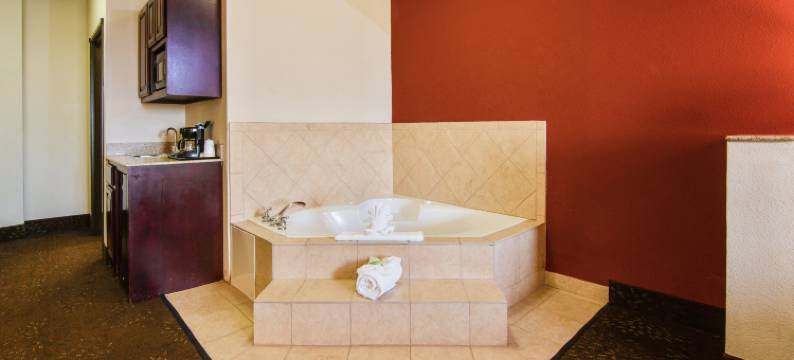 特雷尔智选假日套房酒店(Holiday Inn Express & Suites TERRELL by IHG)图片