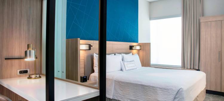 迈阿密多拉SpringHill Suites酒店(SpringHill Suites Miami Doral)图片