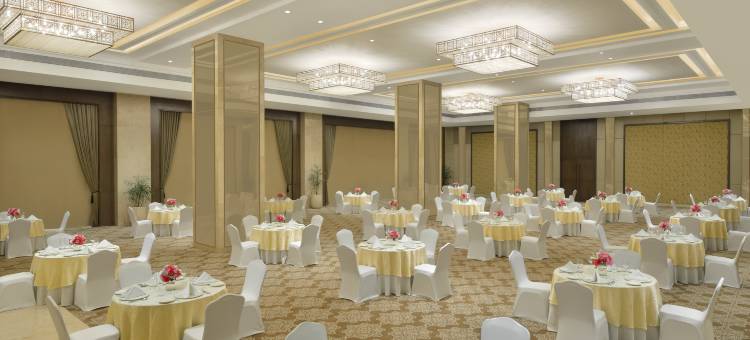 塔吉天际线艾哈迈达巴德酒店(Taj Skyline Ahmedabad)图片