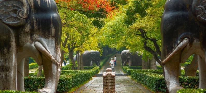 连昕公寓(苜林巷分店)图片