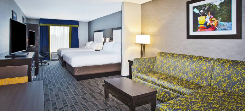 安阿伯西智选假日套房酒店(Holiday Inn Express & Suites ANN ARBOR WEST by IHG)图片