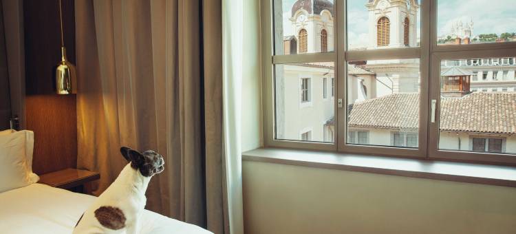 里昂洲际主宫酒店- IHG洲际集团(InterContinental Lyon - Hotel Dieu by IHG)图片