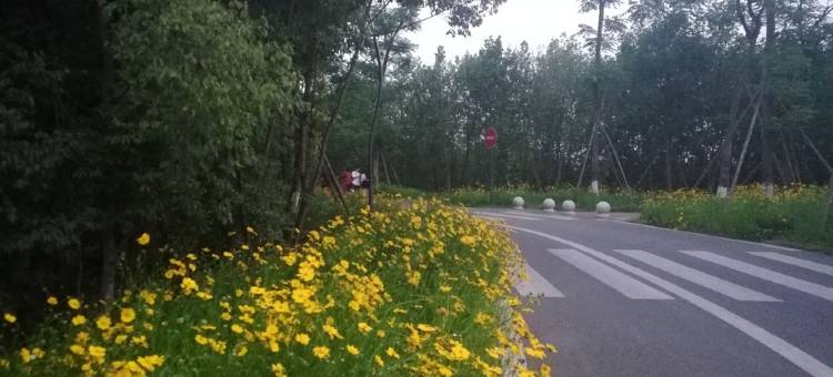 现代极简风格度假别墅(灵雅路分店)图片
