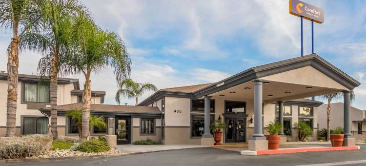 科尔顿舒适套房酒店(Comfort Inn & Suites)图片