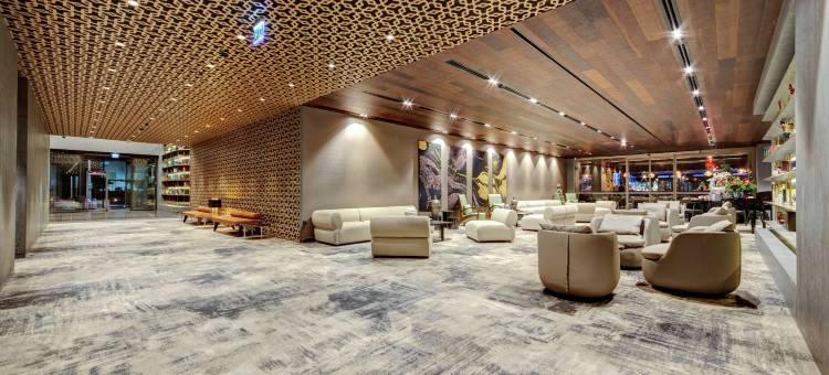 阿达那希尔顿逸林酒店(DoubleTree by Hilton Adana)图片