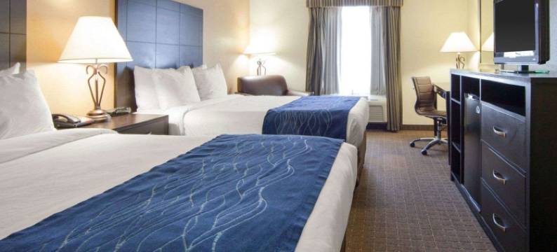 舒适酒店-橡树岭诺克斯维尔(Comfort Inn Oak Ridge - Knoxville)图片