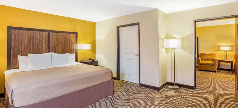 弗洛里斯维尔拉昆塔温德姆套房酒店(La Quinta Inn & Suites by Wyndham Floresville)图片