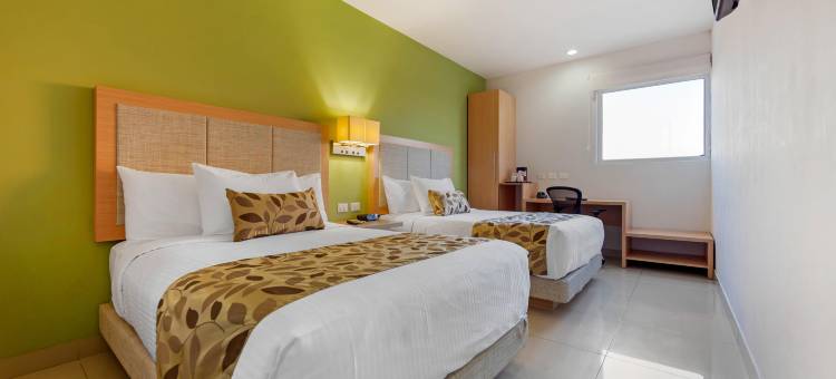 安眠酒店-库利阿坎(Sleep Inn Culiacan)图片