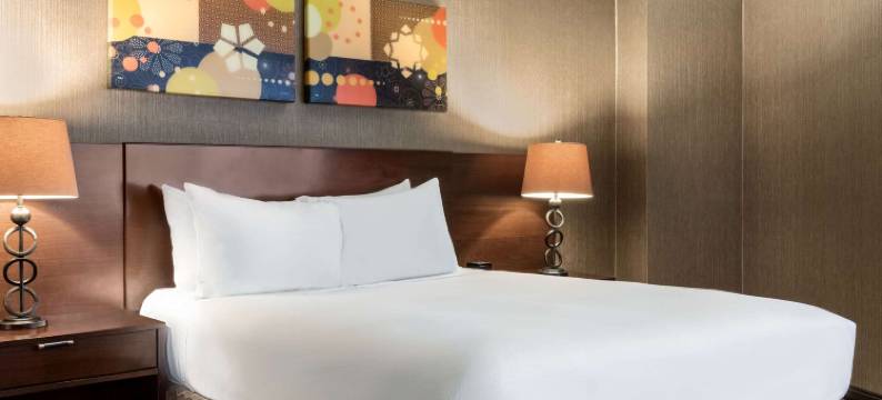 斯普林菲尔德市中心温德姆酒店(Wyndham Springfield City Centre)图片