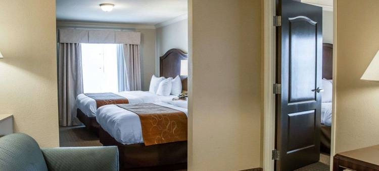 希尔顿辛辛那提北部spark酒店(Spark by Hilton Cincinnati Fairfield)图片