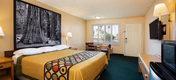 林赛橄榄树温德姆速8酒店(Super 8 by Wyndham Lindsay Olive Tree)图片