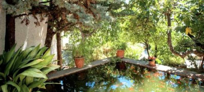 卡萨贾斯敏酒店(Casa Jazmin)图片