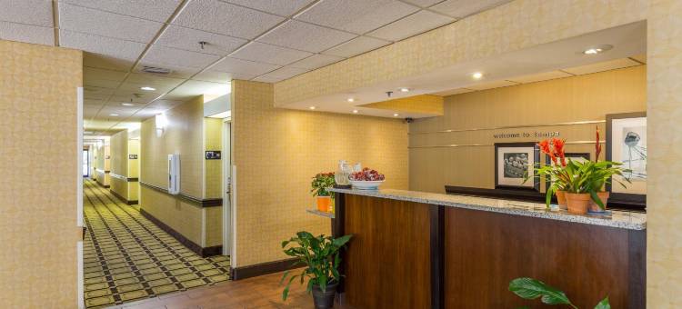 坦帕布兰登希尔顿Spark酒店(Spark by Hilton Tampa Brandon)图片