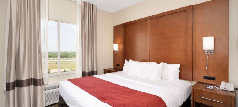 大学城舒适套房酒店(Comfort Suites University)图片