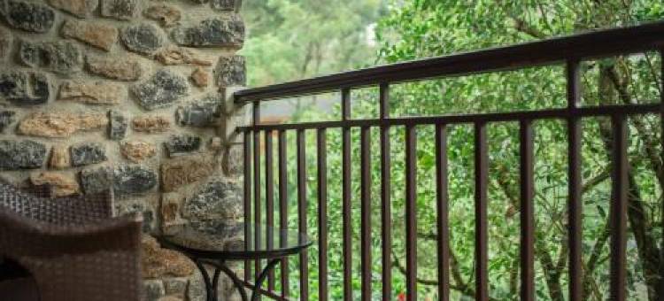 Misty Mountain Experience图片