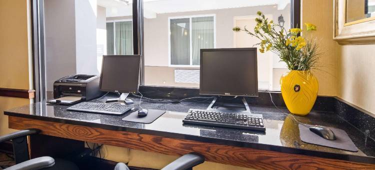 凯艺套房酒店(Quality Inn & Suites)图片