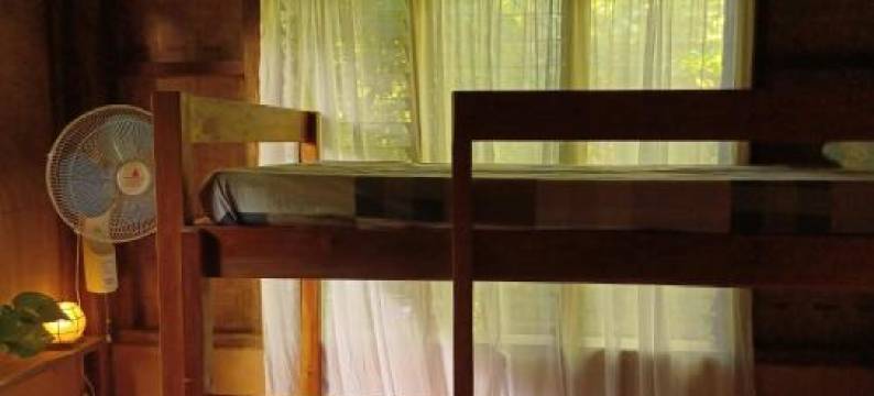 Lazy Lizard Hostel图片