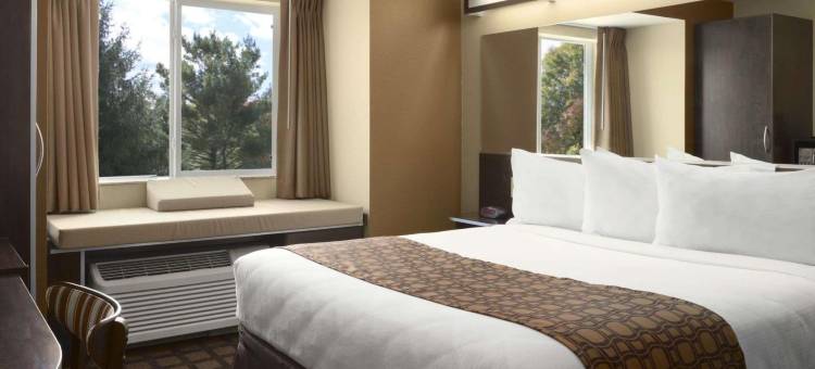 奥德萨麦客达套房酒店(Microtel Inn & Suites by Wyndham Odessa)图片